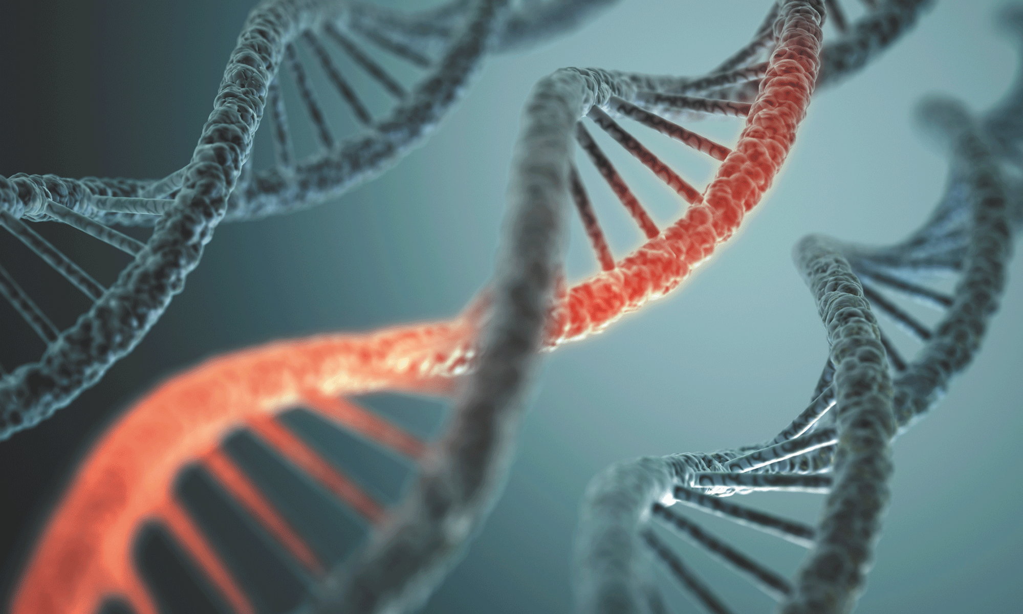 Генетика и онкология: главные вопросы