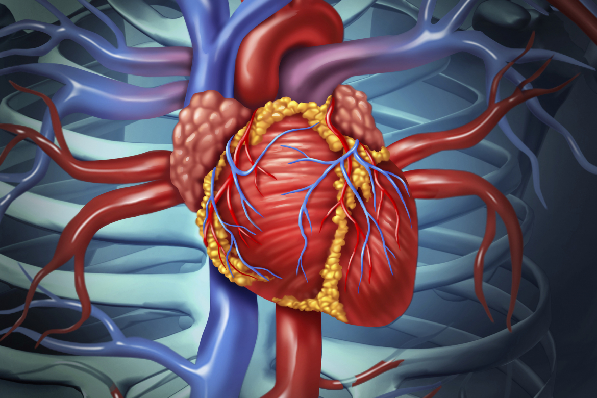Какие симптомы говорят о проблемах с сердцем? Кардиолог НМИЦ рассказала о профилактике сердечно-сосудистых заболеваний
