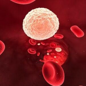 Клинический анализ крови: лейкопения и нейтропения после химиотерапии