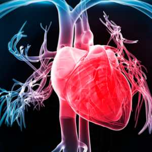 Противоопухолевая терапия: как защитить сердечно-сосудистую систему