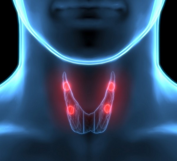 Лечение рака щитовидной железы в отделении опухолей головы и шеи
